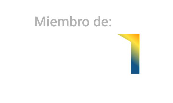 Miembro de API